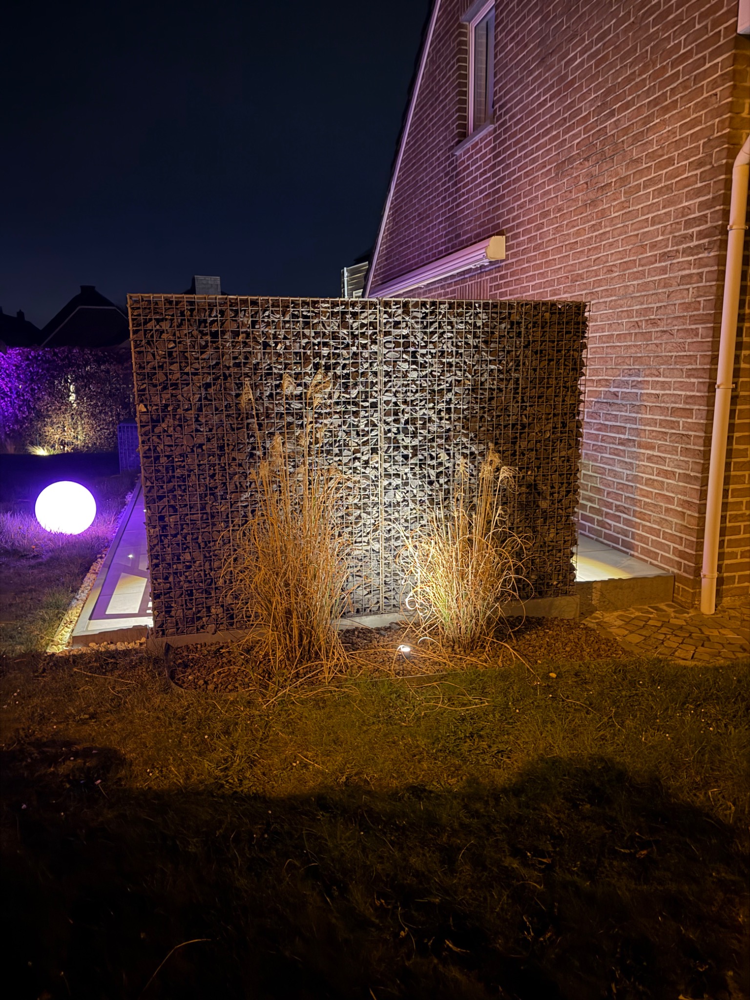 Gabion et graminées éclairés près de la façade